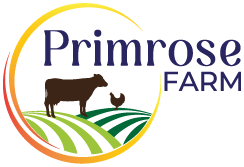 Come Experience Farm Life | Primrose Farm