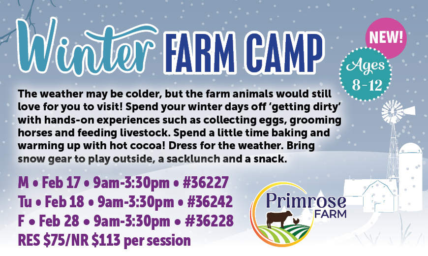 Winter Farm Camp