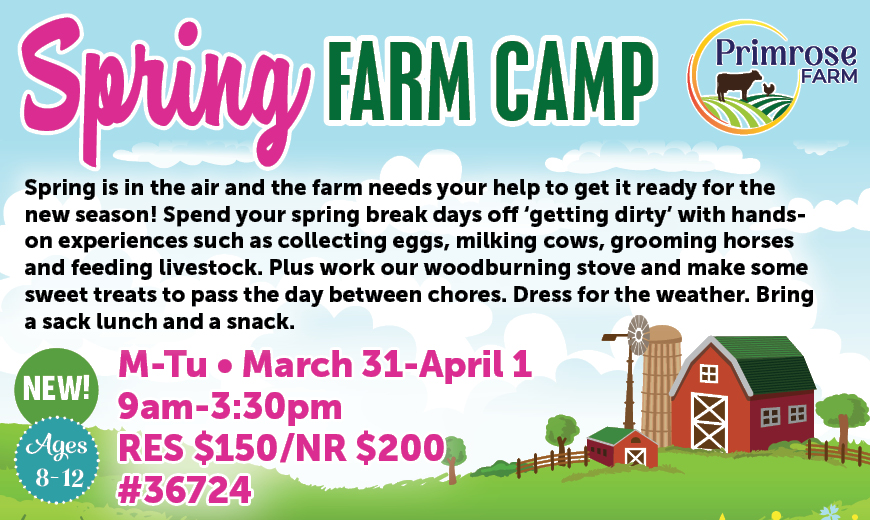 Spring Farm Camp